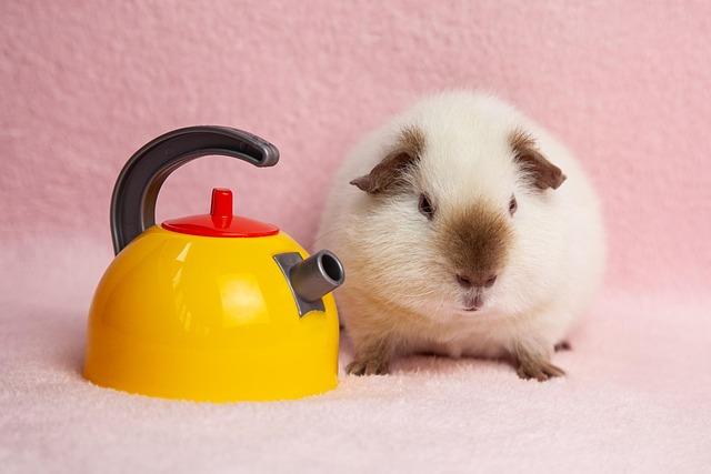 Kettle Kireci Nasıl Temizlenir?
