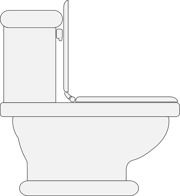 Sararan WC Temizleme Yöntemleri