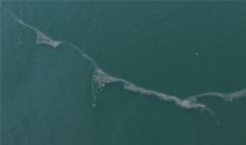 Körfez’de 12. kez dış kaynaklı kirlilik tespit edildi